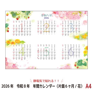 y2026N/ߘa8NŃJ_[zÓdCœ\SeeCatchNԃJ_[iЖ6/ԁjA4i210mm×297mmjV[Lb`J_[2026N/ߘa8Ny[({X)Ȃ瑗Iz