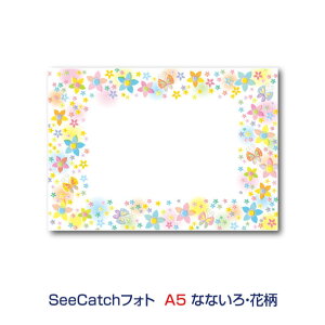 �Ód�C�œ\���SeeCatch�V�[�L���b�`�t�H�gA5�i148mm×210mm�j�f�U�C���V���[�YB�P�i�̔��@�G��5��ނ̂���1��ޑI���y���[����(���{�X��)�Ȃ瑗�������I�z