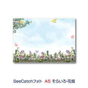 �Ód�C�œ\���SeeCatch�V�[�L���b�`�t�H�gA5�i148mm×210mm�j�f�U�C���V���[�YD�P�i�̔��@�G��6��ނ̂���1��ޑI���y���[����(���{�X��)�Ȃ瑗�������I�z