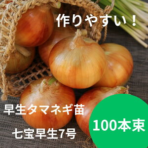 y̔Izʂ˂c@y󑁐7z  4 ^}lM