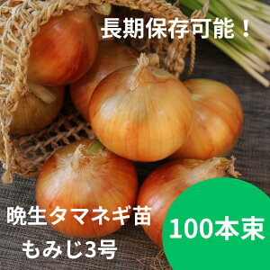 y̔Iz ʂ˂c@y݂3z Ӑ 6 ^}lM