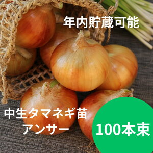 y̔Izʂ˂c@yAT[z  5 ^}lM