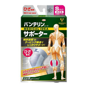 oeT|[^[ Ђp  STCY Ђ 31`34cm Vo[O[