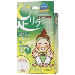 ̌b V[g  30  tbV tbgPA ̍