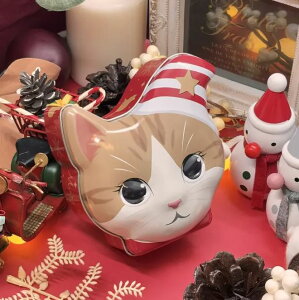 NX}X@lR@tFCXʁ@iَqlߍ킹j