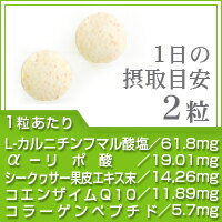 楽天市場 コエンザイムq10 A リポ酸 L カルニチン 葉酸 約3ヵ月分 サプリ サプリメント ダイエット 美容 エイジングケア サポート L カルニチン コエンザイム Q10 リポ酸 燃焼 ダイエットサプリ Seedcoms D 3d S Deal32 サプリ専門shop シードコムス