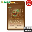 【AF-20】サラシア 約3ヵ月分 送料無料 サプリメント ダイエット 美容 サラシア末 菊芋エキス末