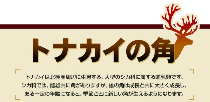 楽天市場】大地のチカラ【約3ヵ月分】 マカ 高麗人参などパワー系素材7種配合 男性 田七人参 マカ 馬油 クエン酸 ビタミンB1 ビタミンB6 サプリ【seedcoms_D】3D 活力【s20】【moba50off】【メンズ】 : サプリ専門SHOP シードコムス 楽天市場】大地のチカラ【約3ヵ月分】 マカ 高麗人参などパワー系素材7種配合 男性 田七人参 マカ 馬油 クエン酸 ビタミンB1 ビタミンB6 サプリ【seedcoms_D】3D 活力【s20】【moba50off】【メンズ】 : サプリ専門SHOP シードコムス