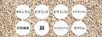 国産はとむぎエキス約3ヵ月分【seedcoms_D】3D