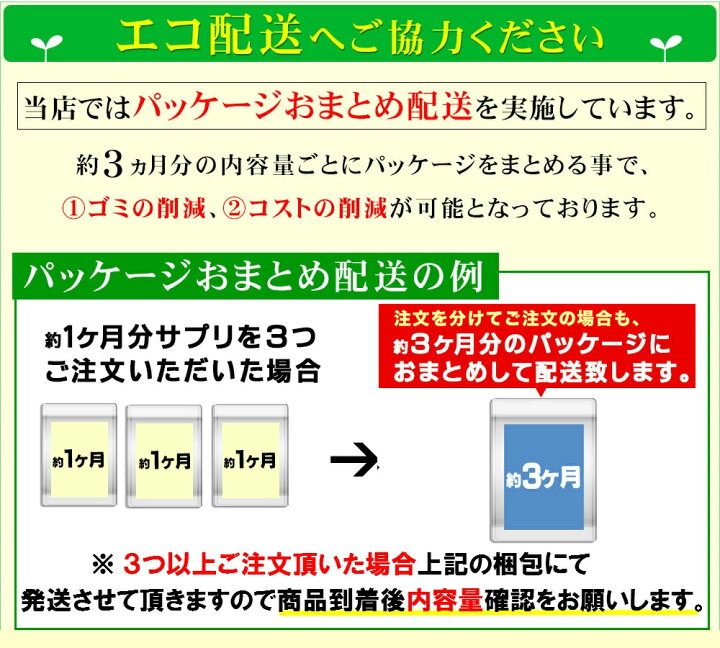 亜麻仁油 ・えごま油配合。オメガ3系α-リノレン酸《約12ヶ月分》