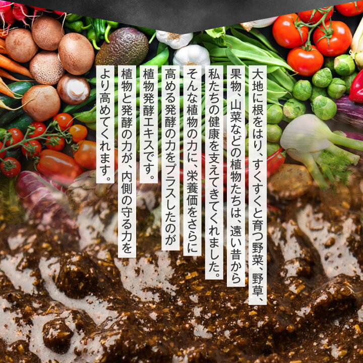 市場】384種類の野菜約 1ヵ月分 野草 果実 海藻 キノコ 豆類を使用約1ヵ月分 送料無料 酵素サプリ【新商品2021】 : サプリ専門SHOP  シードコムス