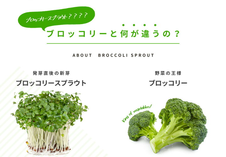 海外輸入 ブロッコリースプラウト ユーグレナ サラシア スルフォーミュラ Sulformula ケール 小麦若葉 ダイエットサプリメント スルフォラファングル