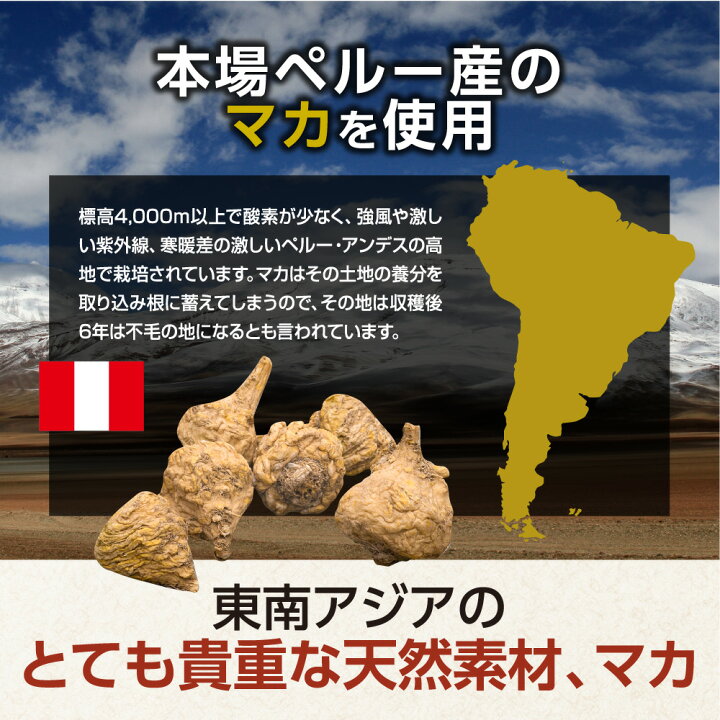 売れ筋ランキングも掲載中 Mannindou 万仁堂 黒マカ100万ボルト 3ヶ月分 野口医学研究所品質推奨品 Sh Fucoa Cl