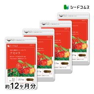 アセロラたっぷりビタミンC《約12ヶ月分》■ネコポス送料無料■代引・日時指定不可【RCP】サプリ/アセロ…
