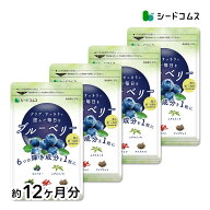 ブルーベリー 約12ヶ月分 送料無料 サプリ サプリメント 健康 ブルーベリー ビルベリー メグスリノキ カ…