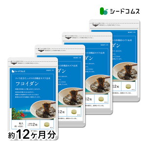 ꌧYgp@tRC_@12 Tv Tvg N NHi ʂ߂萬 A@ Y  C  {^{EtEyseedcoms_DEAL2z/D0818