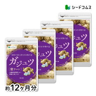 ガジュツ 約12ヶ月分 サプリ サプリメント 健康 ダイエット 美容 シオネール カンファー アズレン ウコン…