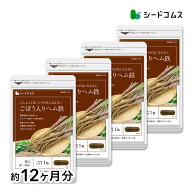 国産ごぼう入りヘム鉄 葉酸配合 約12ヶ月分 サプリ サプリメント 健康 女性 子供 ヘム鉄 葉酸 ごぼう 鉄…