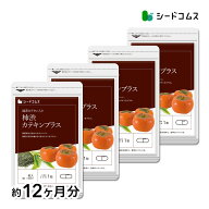 カテキン入り柿渋カプセル 約12ヶ月分 送料無料 サプリ サプリメント ダイエット 健康 柿 カテキン カキ…