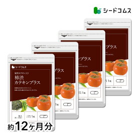 カテキン入り柿渋カプセル 約12ヶ月分 送料無料 サプリ サプリメント ダイエット 健康 柿 カテキン カキタンニン 殺菌 柿渋 エチケット ポリフェノール
