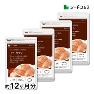 サラサラ玉ねぎケルセチン 約12ヶ月分 健康 ポリフェノール ビタミンp アミノ酸 メチオニン シスチン ケ…