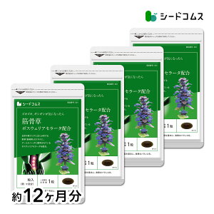 �؍����{�{�X�E�F���A�Z���[�^ ��12������ �������� �T�v�� �T�v�������g ���N �{�X�E�F���A�Z���[�^ �{�X�E�F���A�_ �yseedcoms_D�z12D�ydiet_D1809�z�yseedcoms_DEAL2�z/D0818