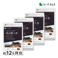 黒高麗人参 約12ヶ月分 送料無料 健康 サプリ サプリメント 黒人参 高麗人参 オタネニンジン 朝鮮人参 和…