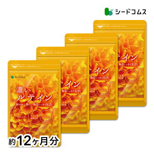 ZeC12⑗ eC Tv Tvg m GS} r^~A r^~E u[Cg fW^PA }[S[ho PC X}zyseedcoms_DEAL2z/D0818