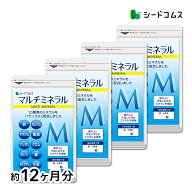 マルチミネラル《約12ヶ月分》 ネコポス送料無料 代引・日時指定不可 サプリ/ミネラルサプリ 送料無料　…