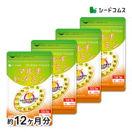 マルチビタミン《約12ヶ月分》サプリ/ビタミンサプリ【1福】 送料無料 ビタミン 葉酸 ナイアシン ビオチ…