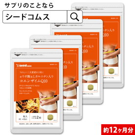 コエンザイムQ10 α-リポ酸 L-カルニチン 葉酸 約12ヶ月分 サプリ サプリメント ダイエット 美容 カルニチン コエンザイム q10 リポ酸 燃焼 【seedcoms_D】12D【s20】【DEAL3206】【DEAL3202【seedcoms_DEAL3】【seedcoms_DEAL4】/D0818