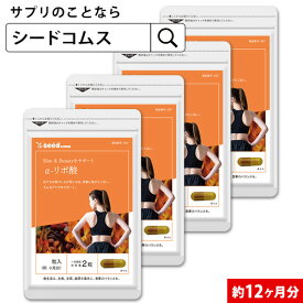 α-リポ酸 約12ヶ月分 送料無料 サプリ サプリメント ダイエット 美容 リポ酸 【seedcoms_D】12D【DEAL3206】【DEAL3202【seedcoms_DEAL3】【seedcoms_DEAL4】/D0818