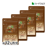 サラシア　約12ヶ月分　送料無料 サプリメント サプリ ダイエット サラシア茶 油 糖分 油分 炭水化物 ケ…