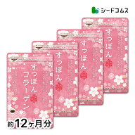 エラスチン入りぷるぷるすっぽんコラーゲン 約12ヶ月分　アミノ酸　ヒアルロン酸　サプリ