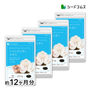 yAF-20zVsjIGLXs12t@ Tv Tvg G`Pbg fPA VsjIyseedcoms_DEAL2z/D0818