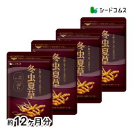 冬虫夏草《約12ヶ月分》 ネコポス送料無料 日時指定不可サプリ/冬虫夏草サプリ