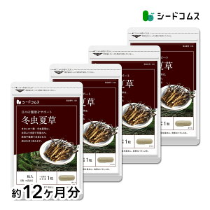 ~đs12t lR|X wsTv/~đTv