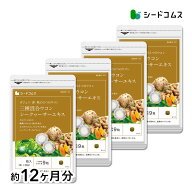 3種混合ウコン+シークヮサーエキス 約12ヶ月分 サプリ サプリメント 健康 健康食品 美容 ガジュツ ウコン…