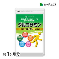 2型コラーゲン配合グルコサミン＆コンドロイチン＆MSM【1ヶ月分】コンドロイチン/MSM/グルコ/送料無料