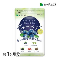 ブルーベリー 約1ヶ月分　サプリ サプリメント ブルーベリー ビルベリー メグスリノキ アイブライト ビタ…