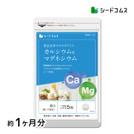 カルシウム＆マグネシウム《約1ヶ月分》ビタミンD サプリ サプリメント 健康 子供 ドロマイト ビタミン