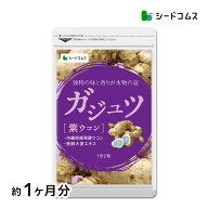 ガジュツ 約1ヶ月分 ウコン 粒 紫ウコン 美容ウコン サプリ サプリメント 健康 ダイエット 美容 シオネー…