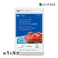 グルコサミン+コンドロイチン+MSM★約1ヶ月分 ■ネコポス送料無料 グルコサミンサプリ サプリ サプリメン…