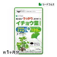 イチョウ葉エキス（約1ヶ月分）ネコポス送料無料　サプリ　イチョウ葉　サプリメント DHA EPA