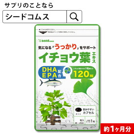 イチョウ葉エキス（約1ヶ月分）■ネコポス送料無料　サプリ　イチョウ葉　サプリメント DHA EPA【seedcoms_DEAL2】/D0818