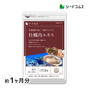 yGLXs1ty/zTv/y/JL/yTv/