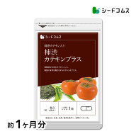 【お試しサプリ★約1ヶ月分】【送料無料】汗ばむ時期の気になるエチケット！カテキン入り柿渋カプセル《…