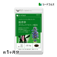 筋骨草＋ボスウェリアセラータ《約1ヶ月分》■送料無料■代引き・日時指定不可【RCP】サプリ/筋骨草サプ…