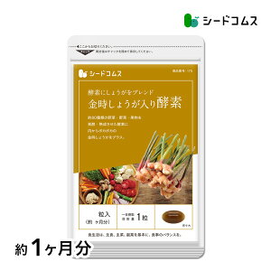 傤yfs1t lR|X Ews /Tv/傤/I/ITv/Tv/