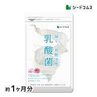 乳酸菌サプリ 約1ヶ月分ネコポス送料無料有胞子性乳酸菌ソフトカプセル/ 乳酸菌 高配合 サプリ 桜の花エ…